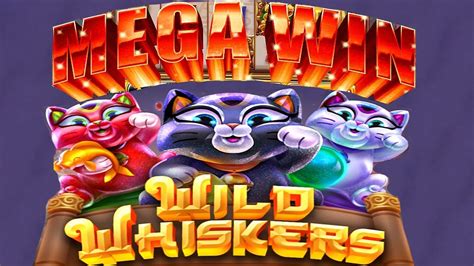 Whisker wins casino Nicaragua
